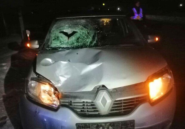 Біля Львова автомобіль насмерть збив 36-річного чоловіка 