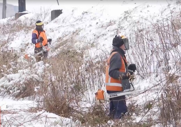 У Львівській залізниці пояснили, навіщо косили чагарники у снігових заметах 