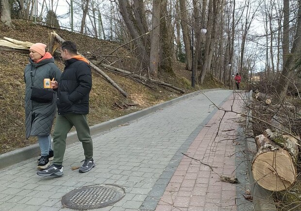 Можуть падати дерева: львів'ян попереджають про сильний вітер. 