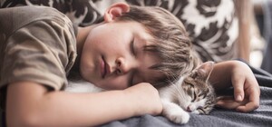 Як в Україні усиновити чи дати притулок дитині під час війни