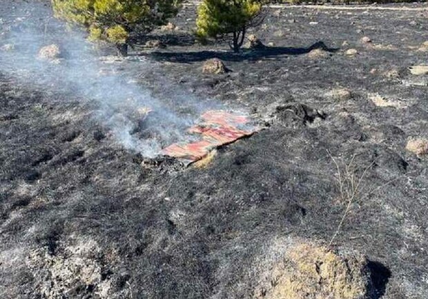 У Куликові під час спалювання сухої трави загинула жінка. 