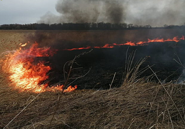 Через спалювання сухої трави до львівської лікарні потрапили двоє людей 