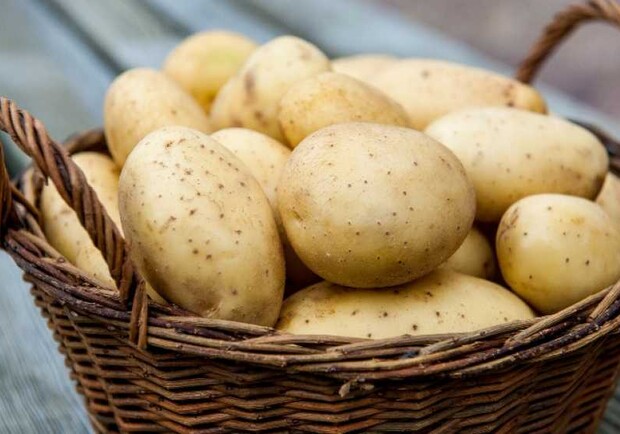 Франція передасть Львівщині майже 100 тонн насіннєвої картоплі 
