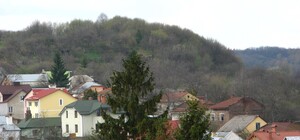 Львів'ян запрошують на прибирання парку 