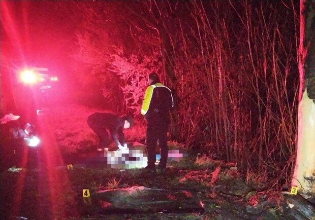 Біля Львова мікроавтобус влетів у дерево – водій загинув 