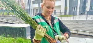 У Харкові з'явилася персикова алея