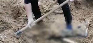 У Київській області виявили 8 масових поховань