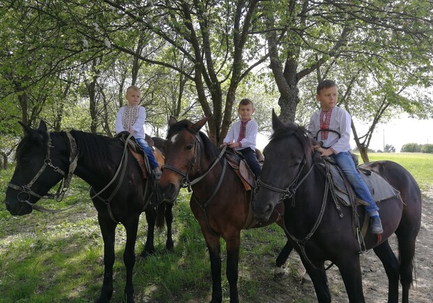 Shenkel - прогулянки на конях поблизу Львова 