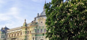 В Одесі цвітуть акації та каштани