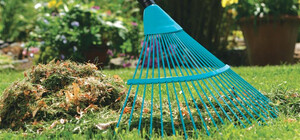 З 11 травня по 16 червня в усіх районах Києва пройдуть міські толоки. Графік