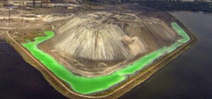 Влада Маріуполя заявила про загрозу повного вимирання Азовського моря