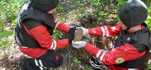 У ботсаду Гришка неподалік пішохідної доріжки знайшли чотири снаряди