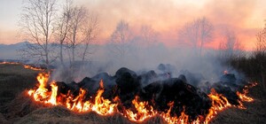 Мешканців Дніпропетровщини попередили про надзвичайну пожежну небезпеку