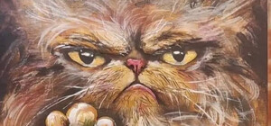 У Бородянці пропонують зробити мурал з відомою кішкою