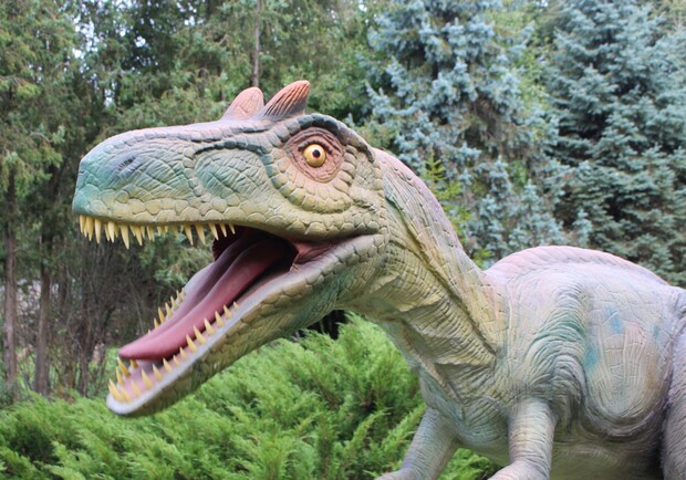 У Трускавці відкриють парк динозаврів: що цікавого, адреса, ціна. 