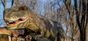 У Дніпрі знову почне працювати 