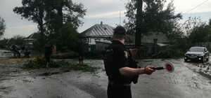 Під Харковом пронісся буревій: повалив дерева та стовпи (фото)