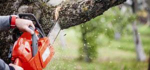 Лежав із розбитою головою: у Винниківському лісі стався нещасний випадок з лісорубом – відео 