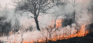 На Дніпропетровщині попереджають про високу пожежну небезпеку