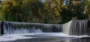 Екологи назвали 10 місць у Києві, яким потрібно надати статус заповідника