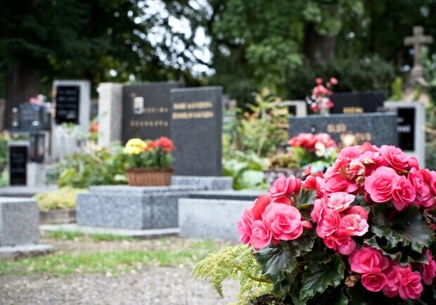 Де у Львові з'являться нові цвинтарі. 