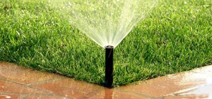 Зеленський запропонував американському філантропу реанімувати систему іригації в Одеській області