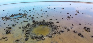 Отримай відповідь: чи можна відпочивати на лиманах в Одеській області