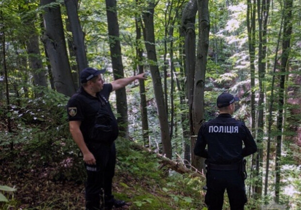 Пішла за ягодами: у лісі на Львівщині третій день розшукують зниклу жінку 
