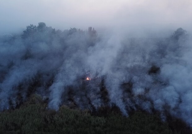 Біля Львова сталася масштабна пожежа, все в диму – що горить. 