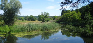 Кишкова паличка: у Харківській області ще одна водойма стала небезпечною для купання