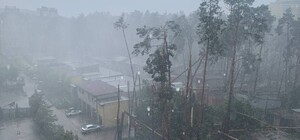 У Києві та області негода ламає дерева та затоплює вулиці