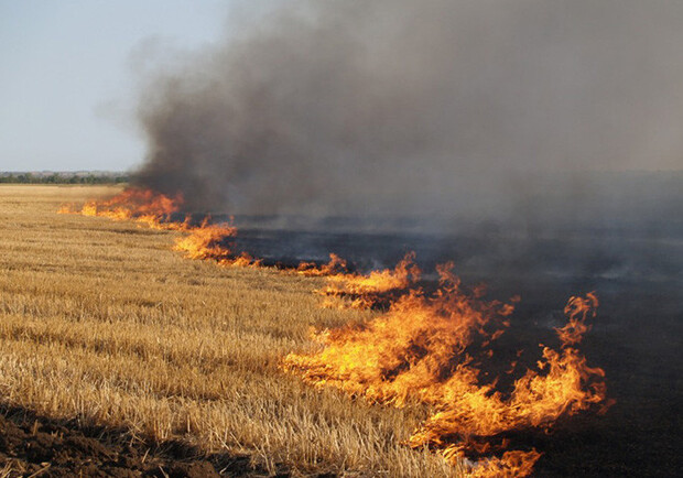 Посадовця львівської залізниці оштрафували на 30 тисяч гривень за спалювання сухої трави 