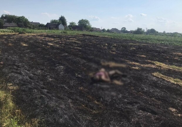 У селі на Львівщині під час спалювання сухої трави загинула 76-річна жінка 