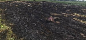 У селі на Львівщині під час спалювання сухої трави загинула 76-річна жінка