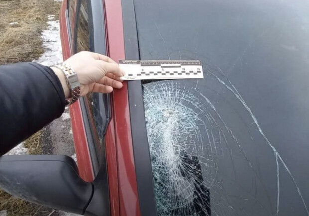 Львівський суд оштрафував пішохода, якого збив автомобіль 
