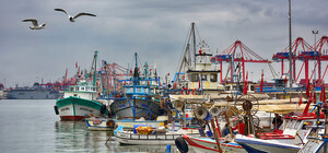 У Туреччині затримали російське судно із зерном із окупованого Бердянська