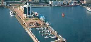 Туреччина відпустила судно з краденим зерном із окупованого Бердянська