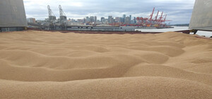 нардеп: iз порту Одеси до Туреччини планують перше відправлення тестового зерновоза (оновлено)