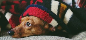 Як підготуватися до проблем з опаленням взимку та заощадити: поради і ціни