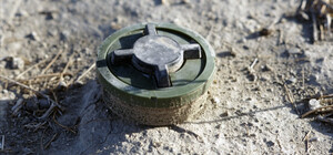 Під Києвом жінка підірвалася на міні під час прогулянки лісом