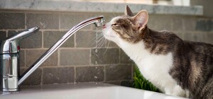 У Дніпрі ремонтуватимуть водогін, який був зруйнований через ракетний удар