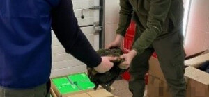 У Києві продавали військове спорядження, яке призначалася для потреб ЗСУ