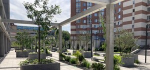 У Дніпрі завершили реконструкцію бульвару Кучеревського: як він виглядає