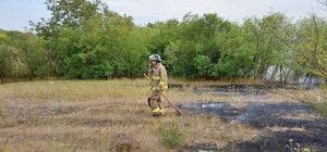 На Одещині попереджають про високу пожежну небезпеку