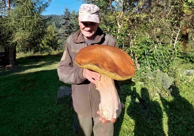 У Карпатах чоловік знайшов гігантського білого гриба — фото. 