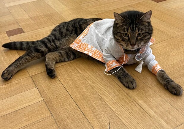 Кіт Андрія Садового носитиме ексклюзивну вишиванку. 