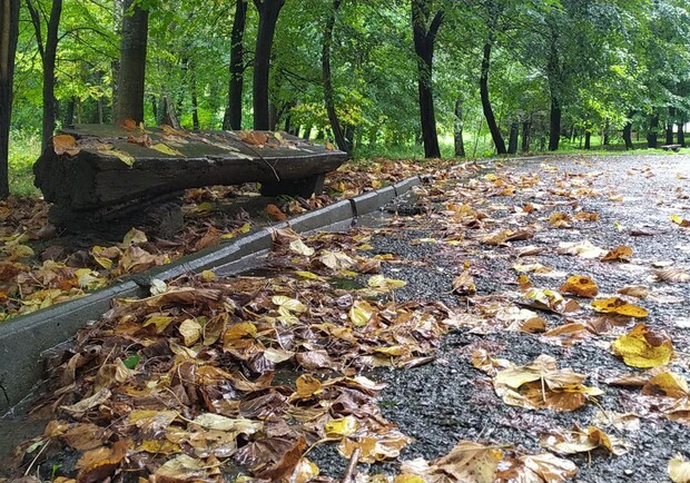 Коли закінчиться сезон дощів у Львові. 