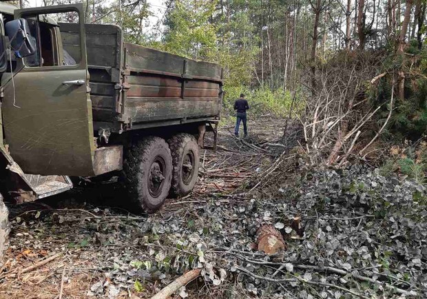 У лісі на Львівщині незаконно зрубали дерева на 900 тисяч гривень 