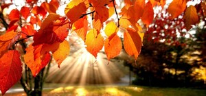 Бабине літо чи перші осінні холоди: яка погода буде в Одесі у жовтні