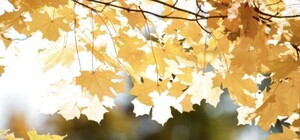 Тепло ще постоїть: яка погода буде в Одесі наступного тижня